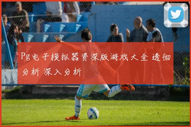 Pg电子模拟器资深版游戏大全 透彻分析 深入分析