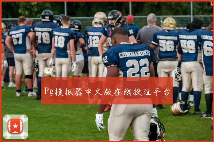 Pg模拟器中文版在线投注平台