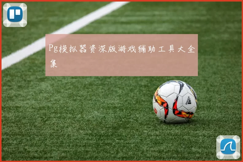 Pg模拟器资深版游戏辅助工具大全集