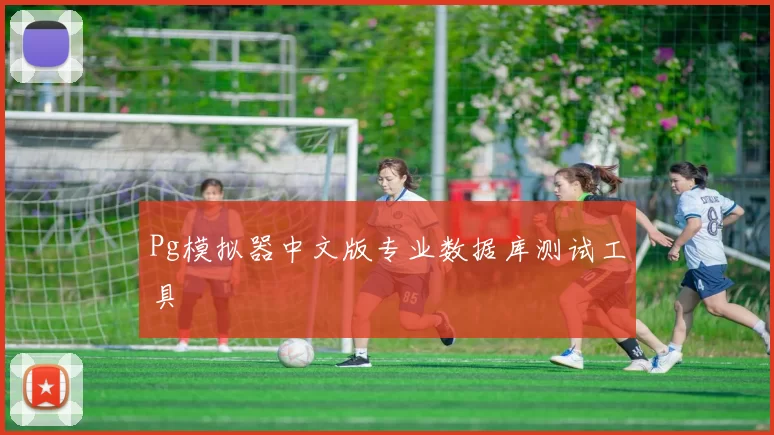 Pg模拟器中文版专业数据库测试工具