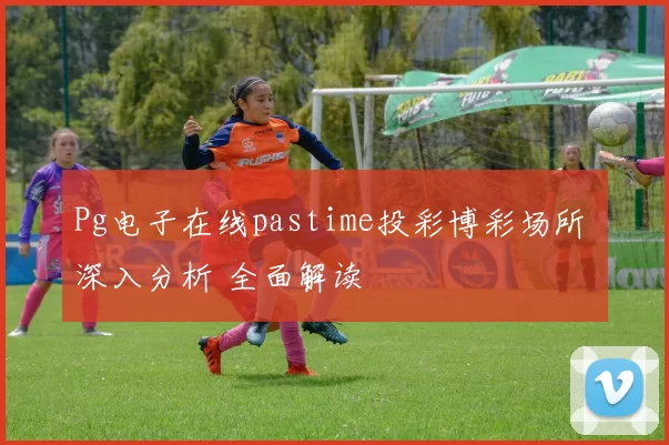 Pg电子在线pastime投彩博彩场所 深入分析 全面解读