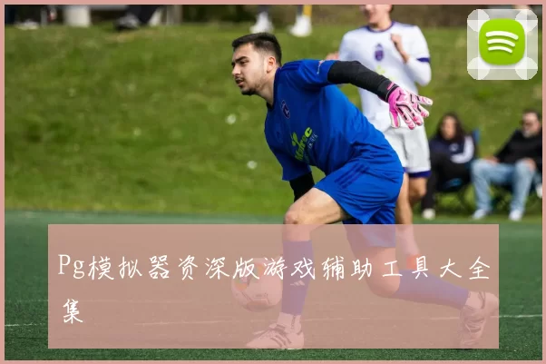 Pg模拟器资深版游戏辅助工具大全集